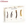 Root Systems specimen paperweight Taxidermy Collection In Clear Lucite Block Embedding Specimen