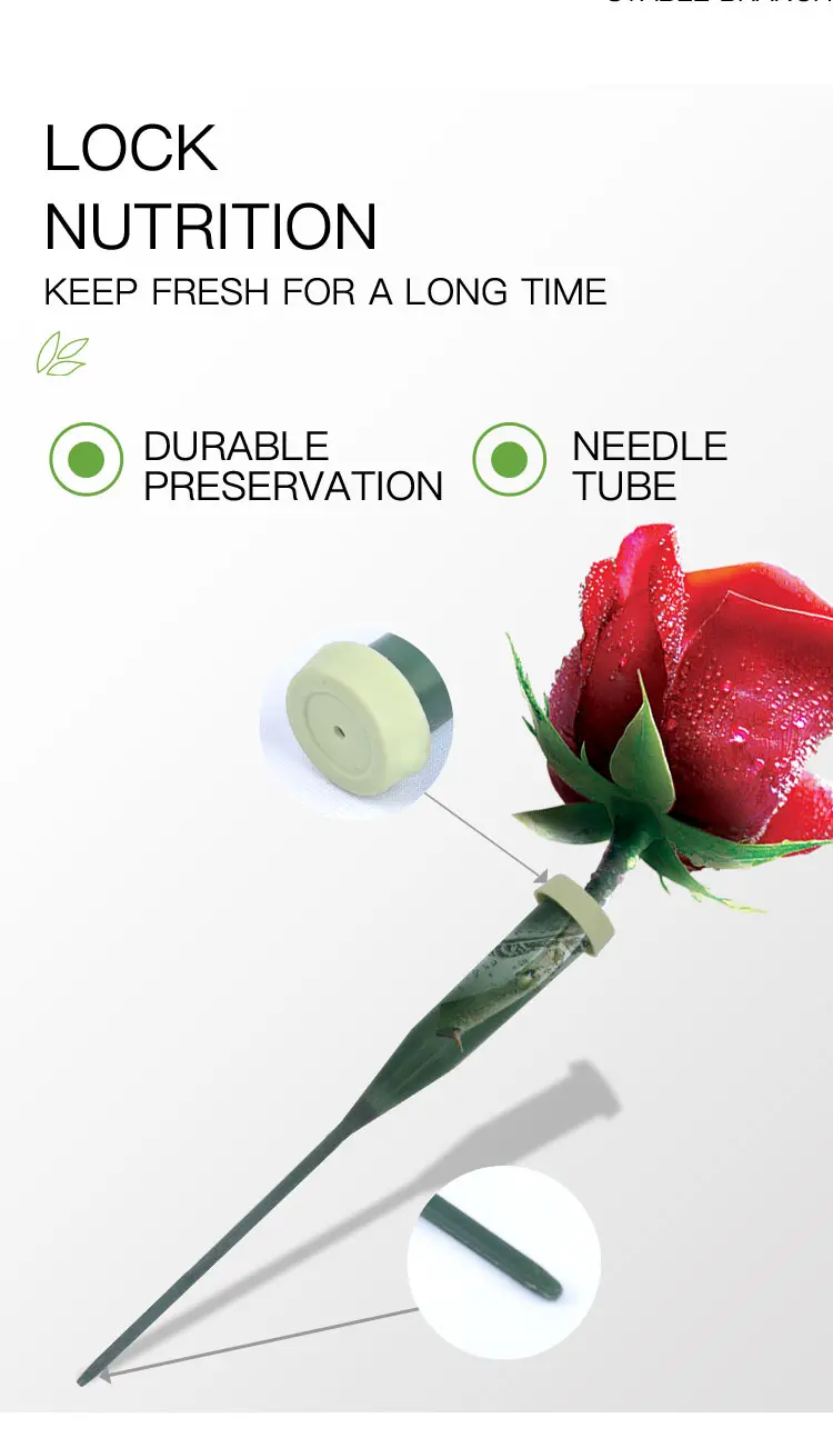 Hot Sale 30cm Fresh Flower Plastic Flower Water Picks Tube Buy Plastic Flower Water Picks