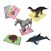 Virtual Animal World Animal Kingdom Learning Card