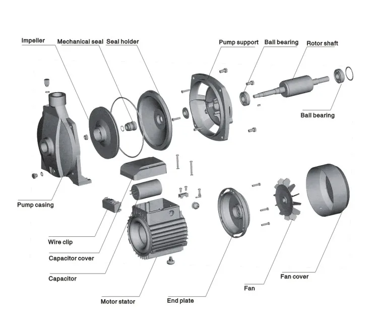 centrifugal pump .JPG