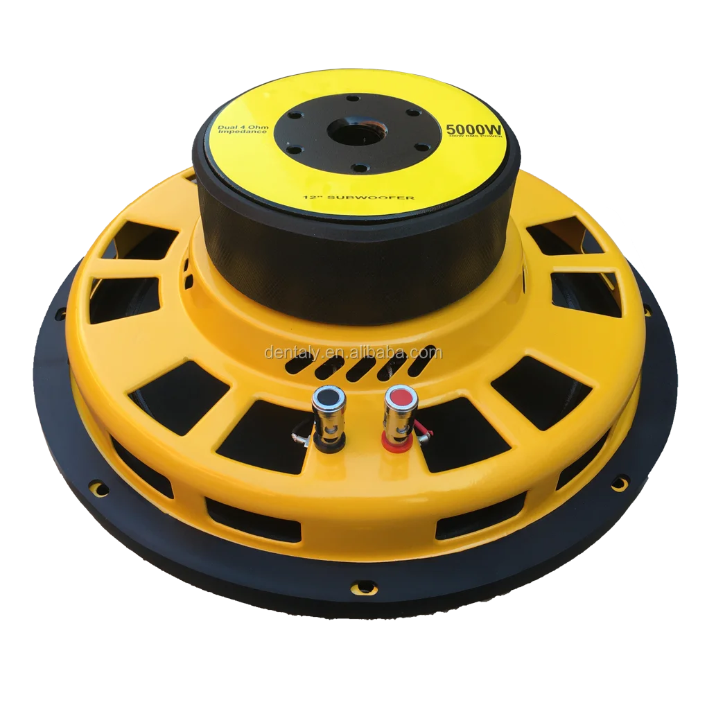 10 /12 Inch 300w Rms Power Slim Subwoofer For Car With Big Flat Dust