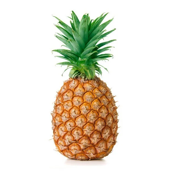 
Nutritive Fresh and Quality Pineapple From Srilanka For Wholesale 