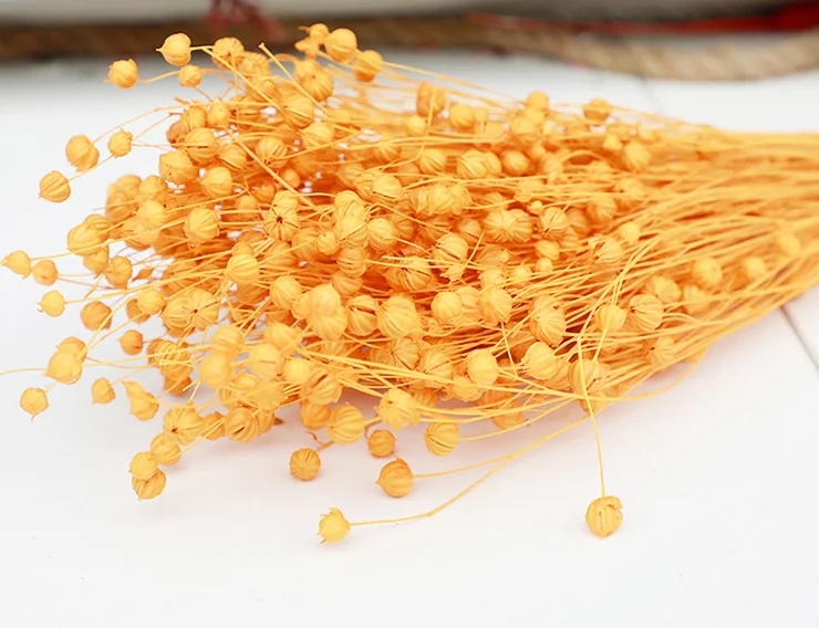 Natural Real Fresh Eternal Dried Flowers Jequirity Bean Jumblebeads