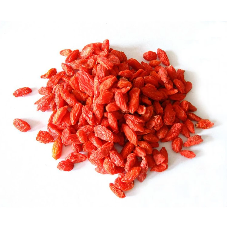 
Wholesale Chinese Wolfberry Organic Goji Berries Lycium Barbarum for sale 
