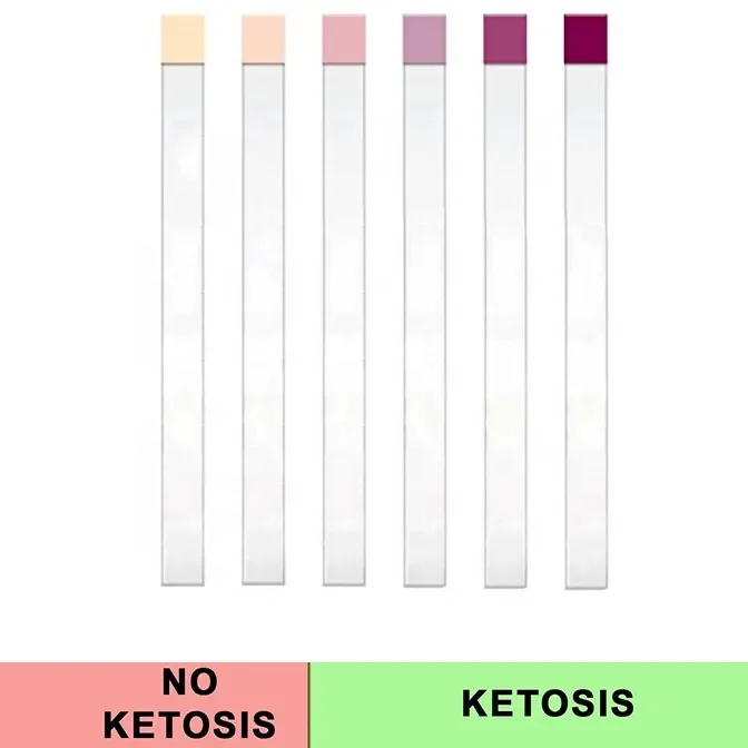 Urs1k Ketone Test Strips Keto Diet And Ketogenic Measurement Buy Ketone/rapid/body/builder