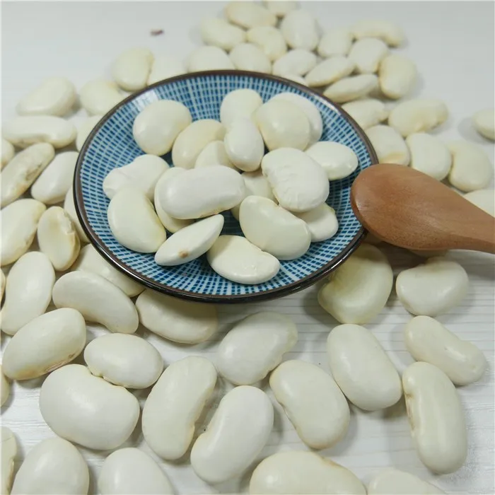 best big white kidney bean,sugar bean