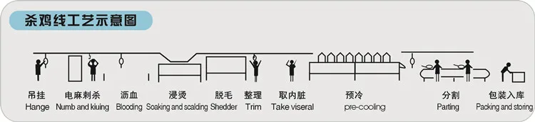 Fast Broiler Chicken Machine For De-hairing The Feather Of Chicken