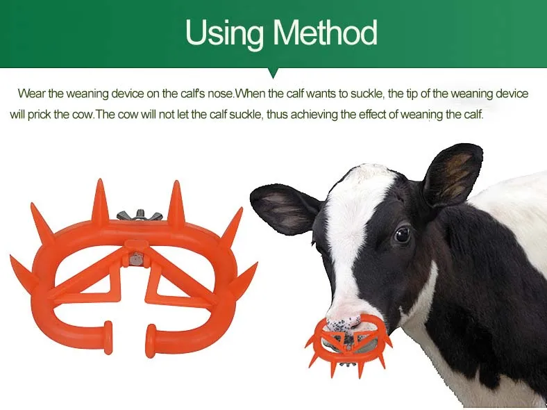 40x Plastic Weaner Anti Sucking Calf Cow Cattle Milking Stops Sucking Tool 