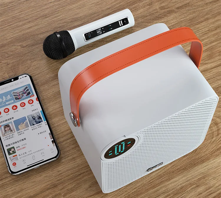 Portable Wireless Speaker With Microphone Outdoor Party Dancing Karaoke Bass Midrange Audio Hifi Bt Waterproof Bluetooth Speaker - ANKUX.COM