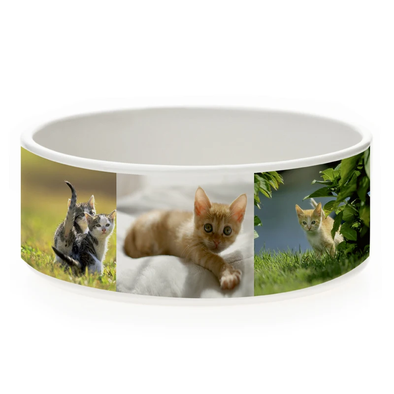 White Blank Sublimation Dog Bowls Sublimation Blank Coated Ceramic Pet