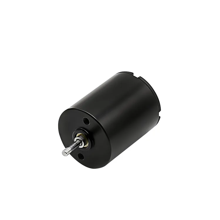 BLDC Motor for Robots