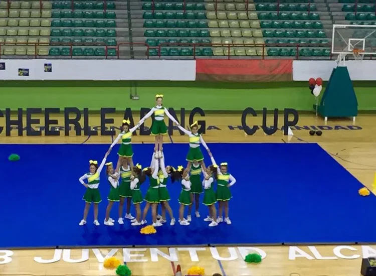 Roll Out Gym Carpet Mat Roll Up Cheerleading Gymnastics Mats For Sale