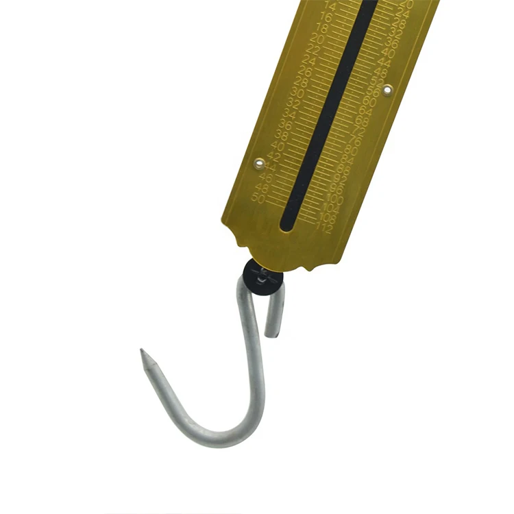 100kg Fishing Spring Balance Weighing Fish Scale Weight Pocket Hanging Spring Scales Buy