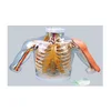Advanced upper arm muscle injection and contrast model with detection and warning system