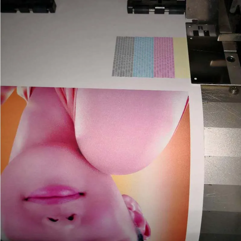 roland printer5