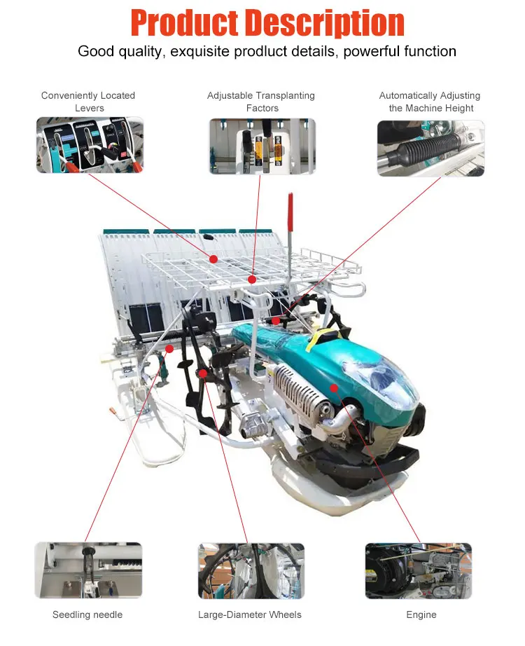 6 Row Handle Type Rice Transplanter