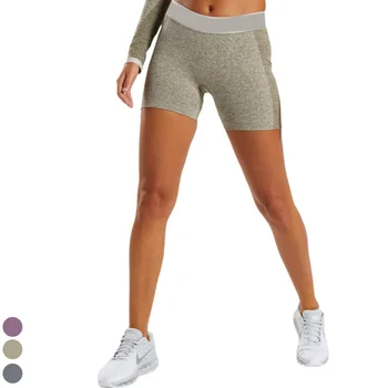 seamless shorts gym