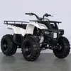 /product-detail/china-made-200cc-gy6-adult-quad-bike-atv-with-automatic-reverse-gear-60601732024.html