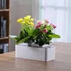 self watering devices