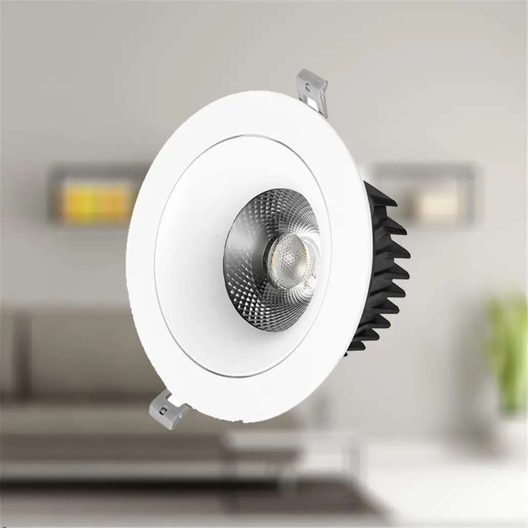 30W Oppel Europe Style Accessories Recessed Adjustable Led Downlight Rgb Ip Rated Tilt Downlights