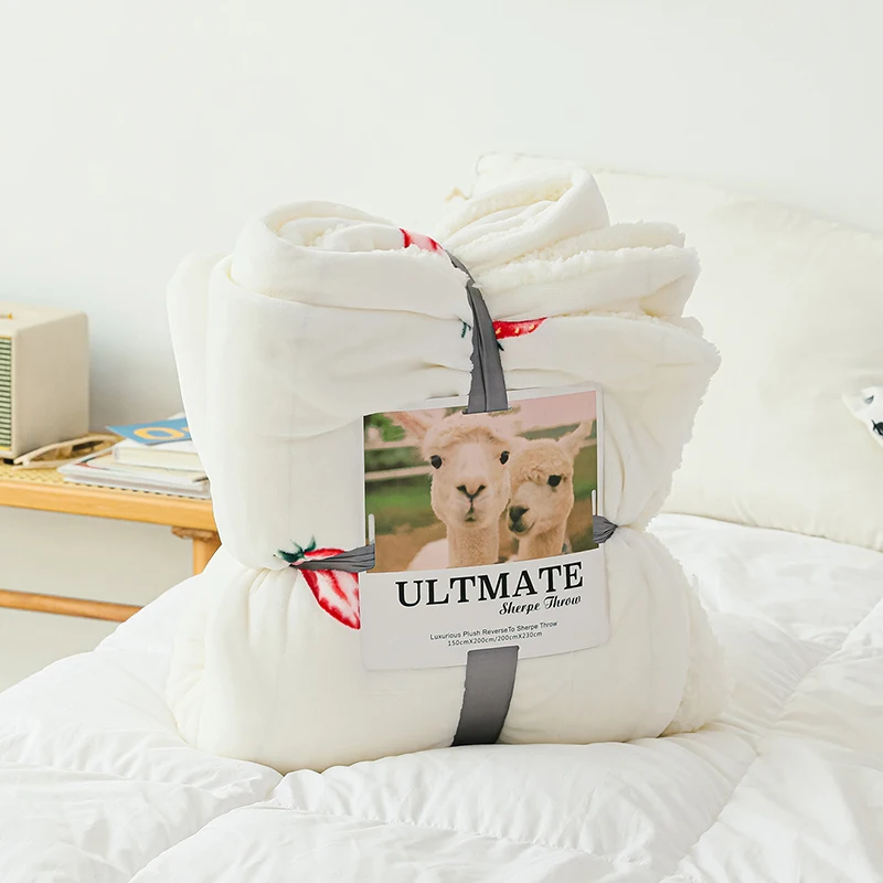 Ins Small Fresh Style White Strawberry Pattern Lambskin Double Layer Good Sleeping Warm Winter Blanket