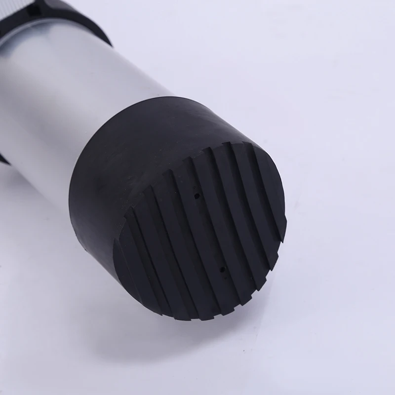 double telescopic ladder