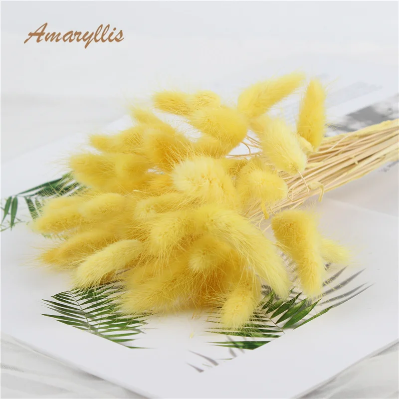 Wholesale Soft Real Preserved Flowers Dried Lagurus Eternal Forever