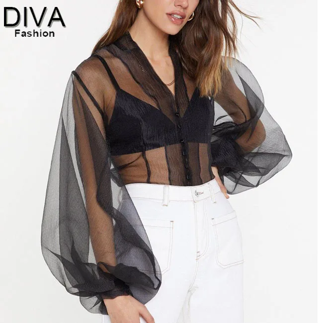 Sheer Blouse Pics