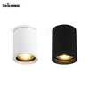 Savia E27 Par30 Max40w Aluminum &Glass Indoor Outdoor Ceiling Surface Mounted Waterproof IP44 Downlight