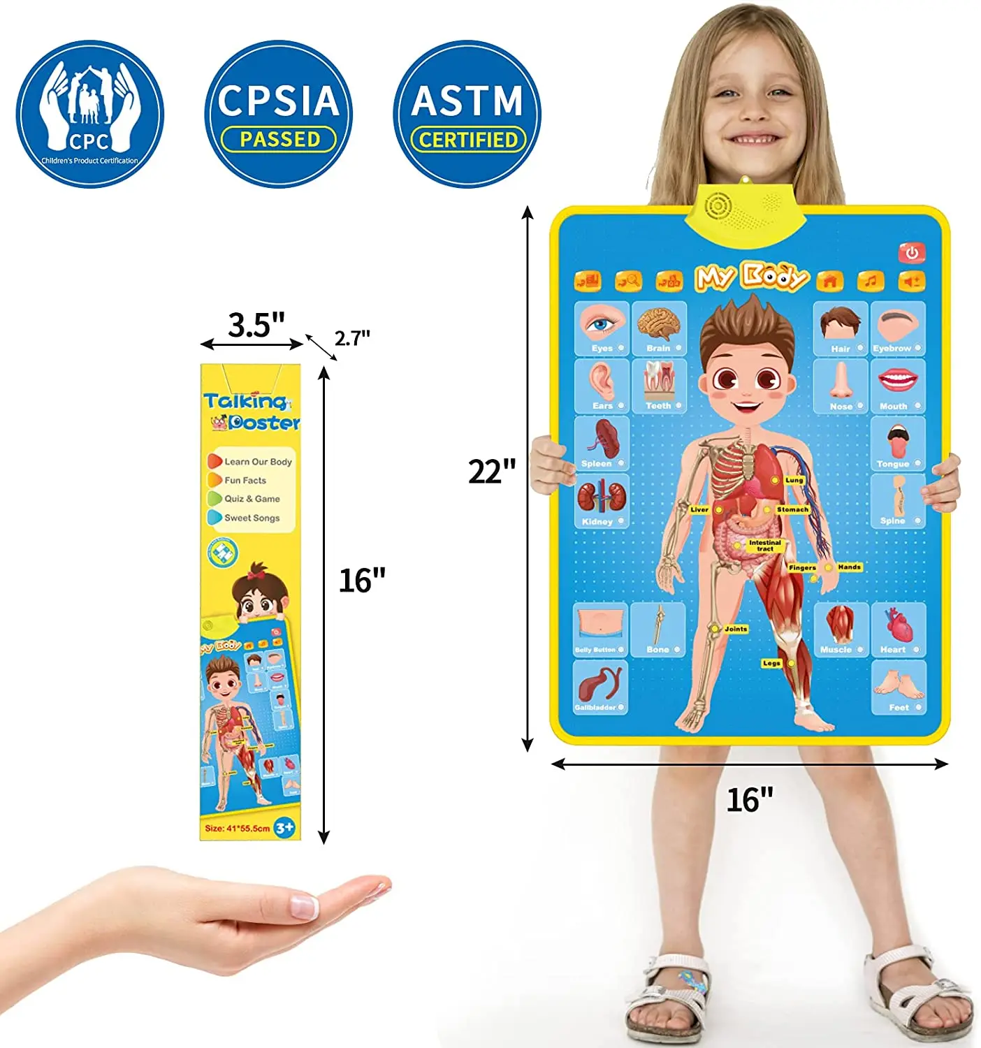 my-body-interactive-educational-poster-for-toddlers-and-kids-to-learn