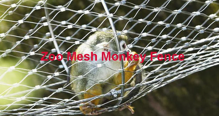 Animal Zoo Stainless Steel Wire Protective Cable Rope Mesh / Cable Mesh Green Plant Climbing Trellis Walls