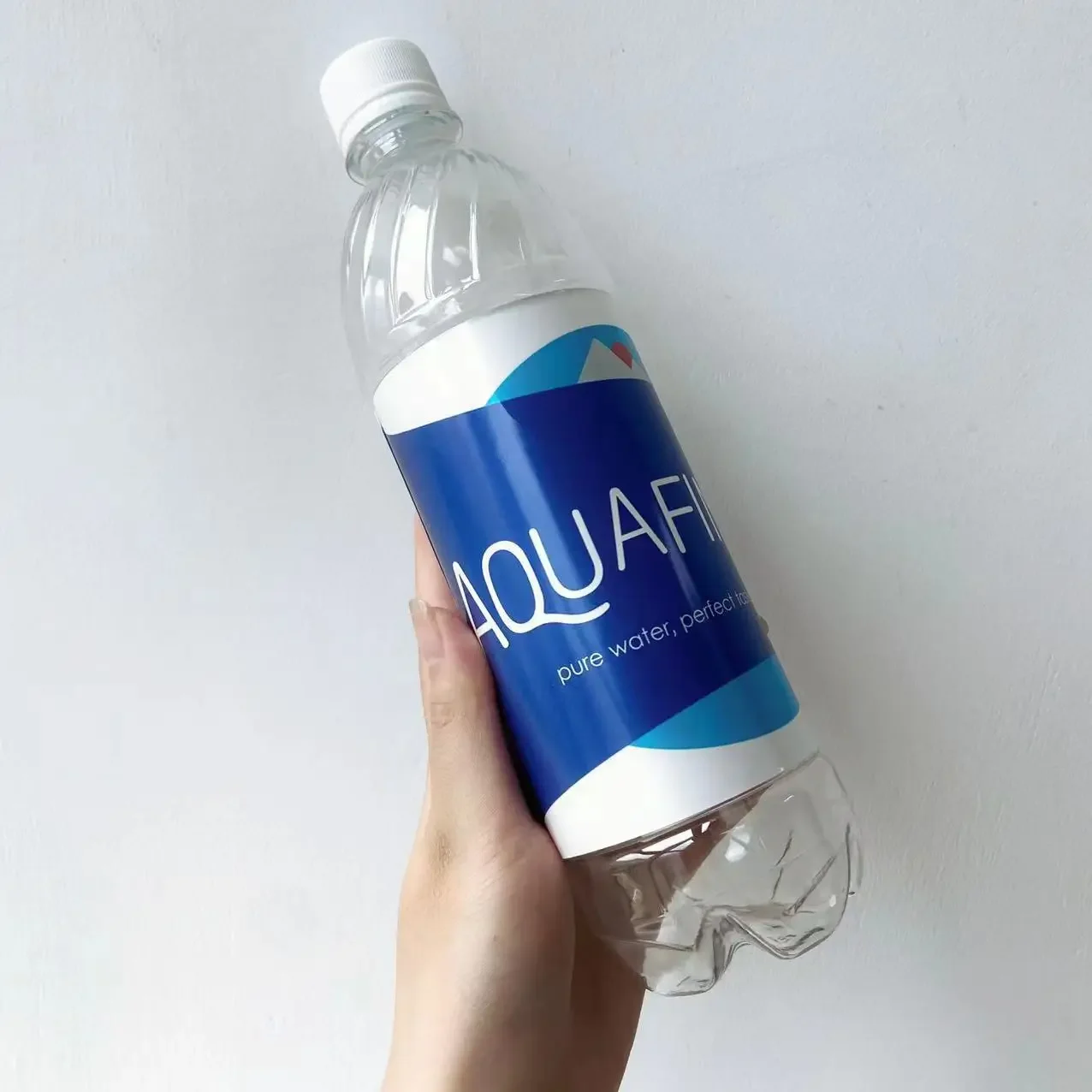 Aquafina Water Bottle Diversion Safe – Hidden Compartment Stash Cup For Cash, Cards & Keys, Perfect For Travel, Beach, Gym & Car