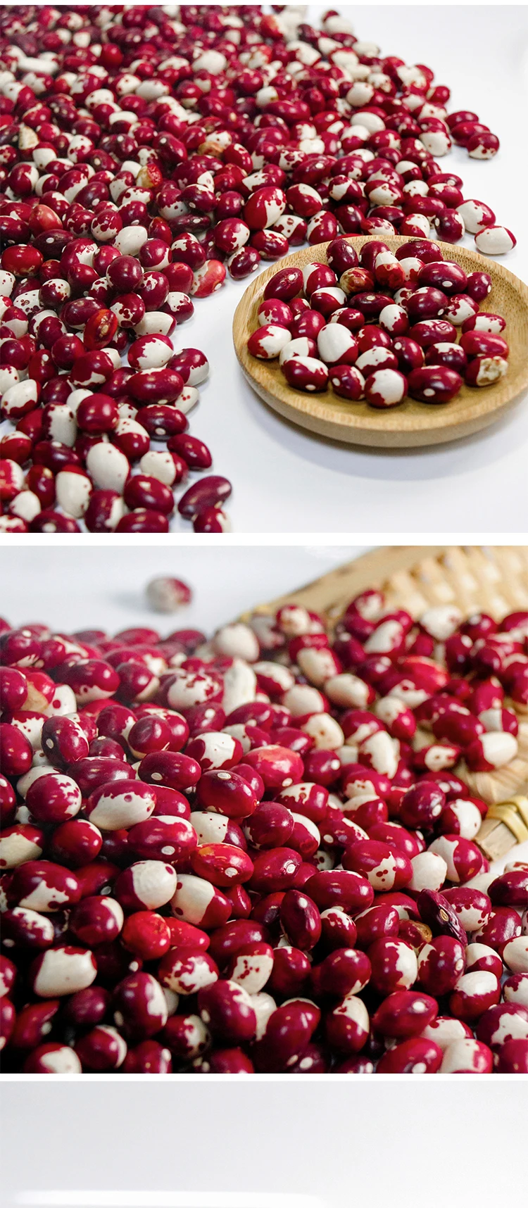 High Quality Speckled White Kidney Coloured Kidney Beans