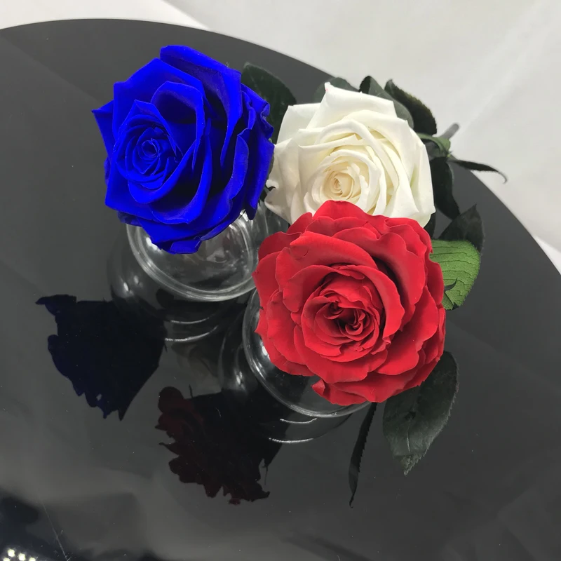 Wholesale Beautiful Real Natural Round Preserved Flower Box Application