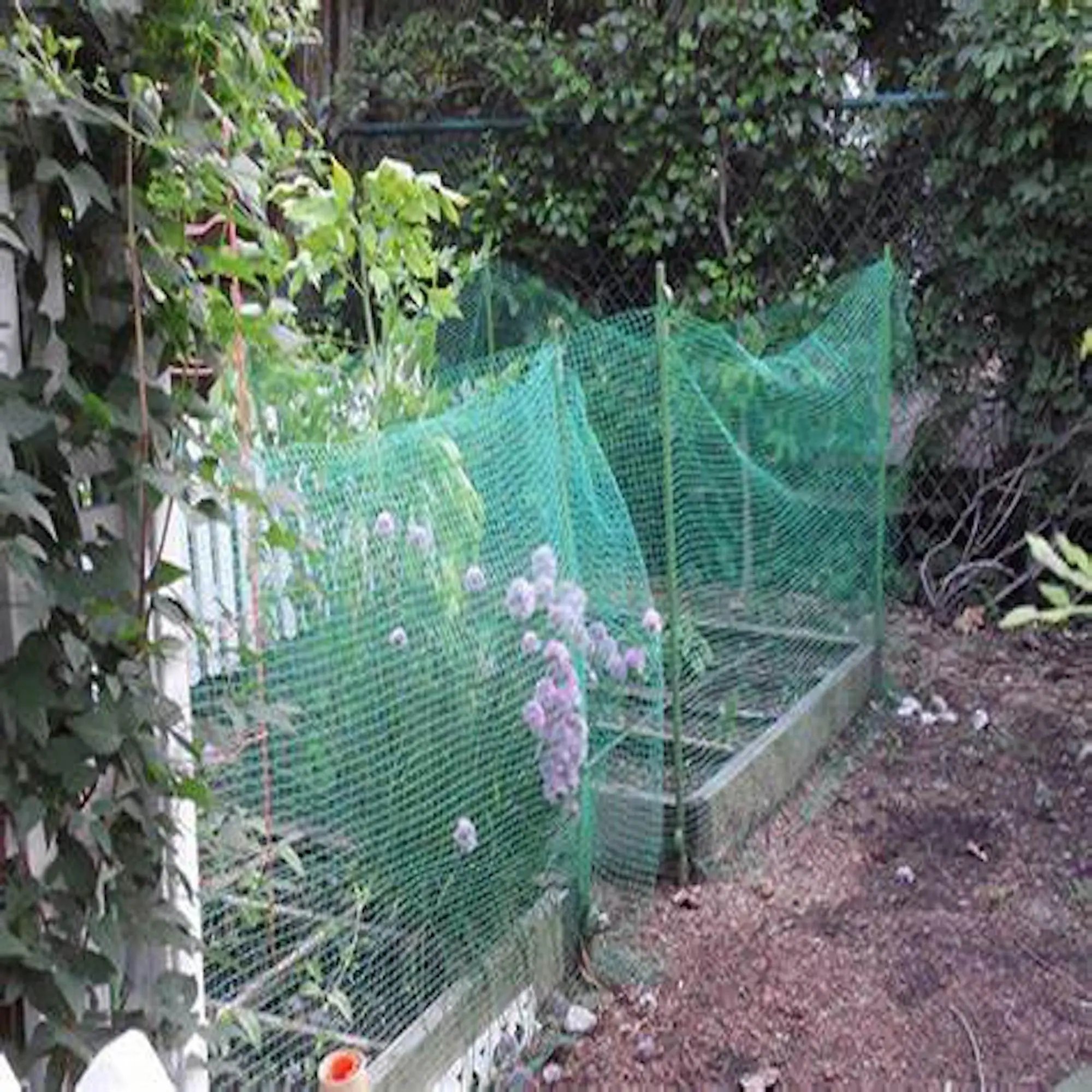 HDPE Mesh Fencing Trellis Plastic Net Garden Fence for Garden Crop Plant -  China Garden Supplies and Garden price