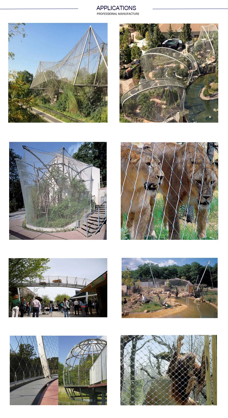 Baina  mesh zoo mesh.jpg