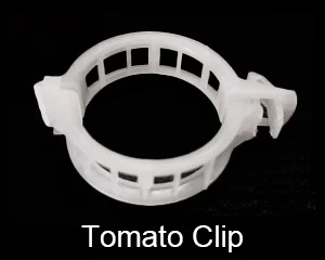 Tomato Clip.jpg