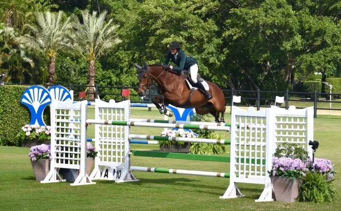 horse jumps