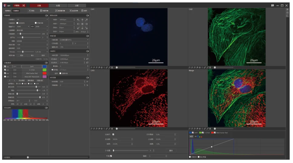 Auto Motorized Laser Confocal Scanning Microscope for Three-Dimensional ...