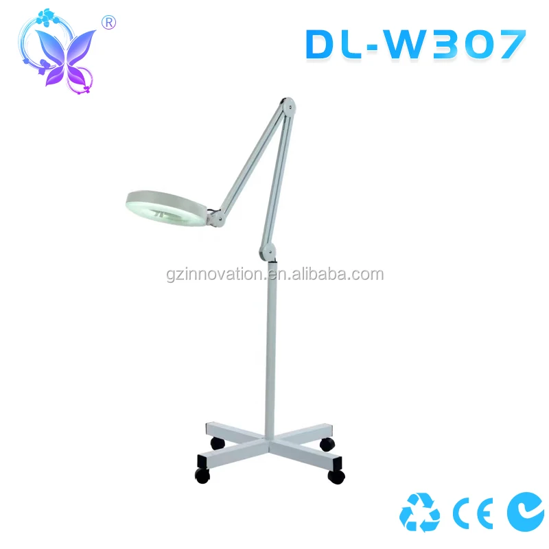 DL-W307