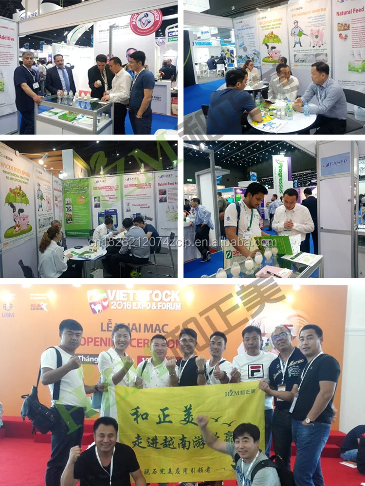 Natural Bentonite Clay Based Mycotoxin Binder Montsorb Buy Mycotoxin