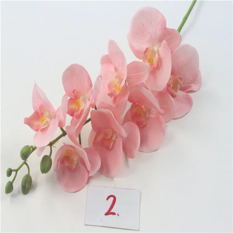 优质8 头人工蝴蝶兰真实触感丝绸兰花乳胶涂层装饰花