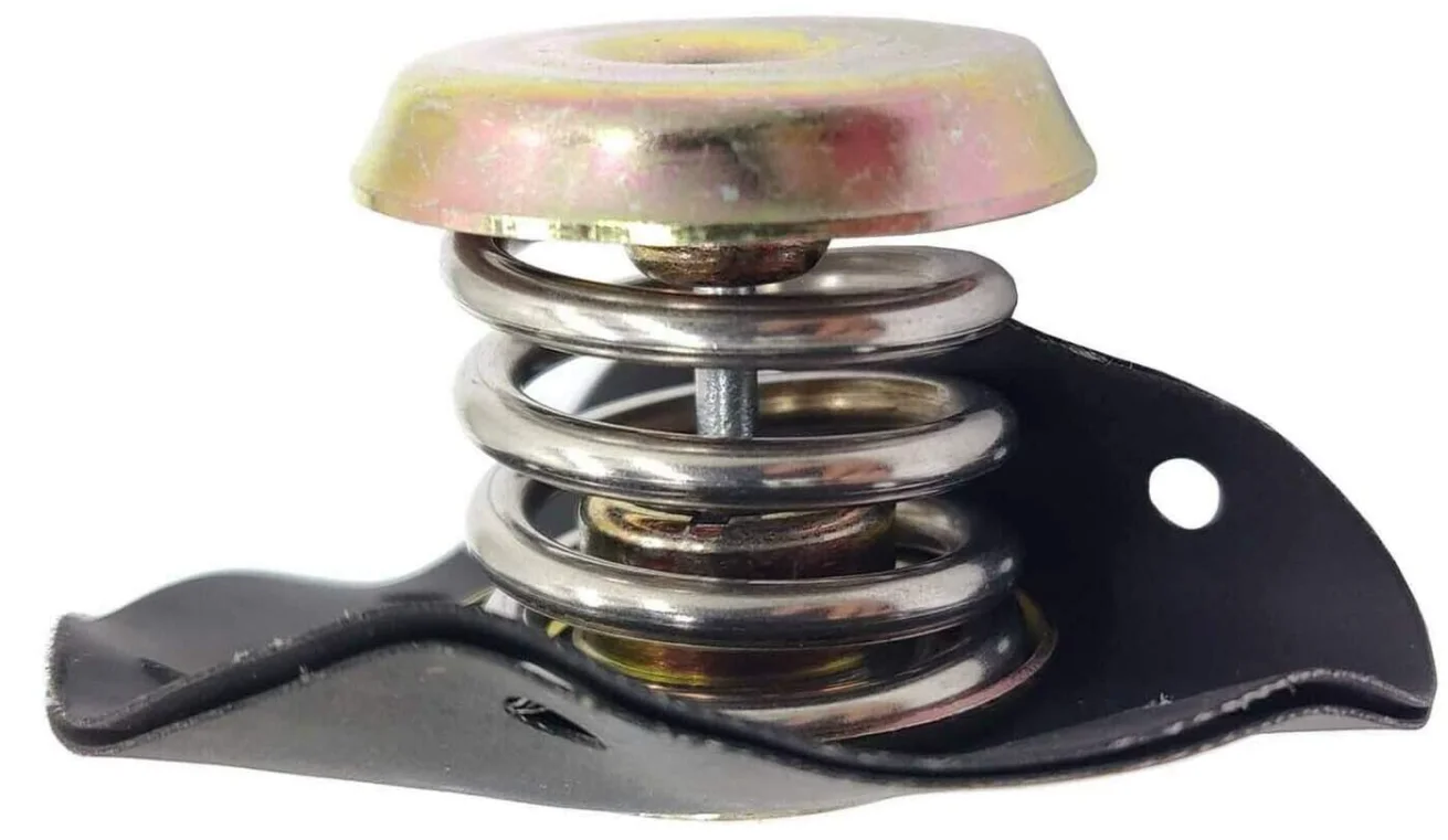 17110851 Fuel Injection Pressure Regulator Compatible With Chevrolet Camaro,Corvette,Cavalier,Pontiac Firebird,Fiero 2.8L,6000 2.8L,Oldsmobile Cutlass Ciera Firenza,Buick Skylark