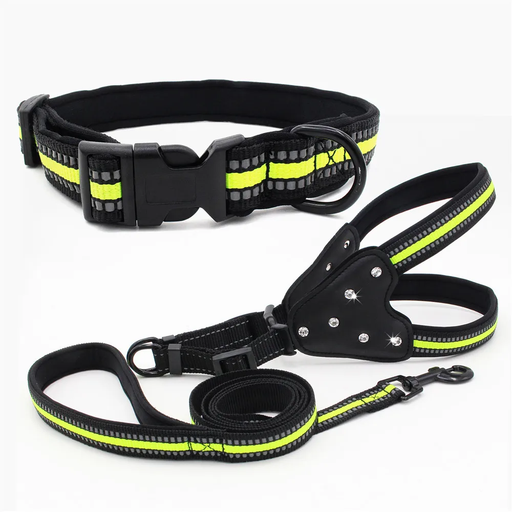 puppy belt online