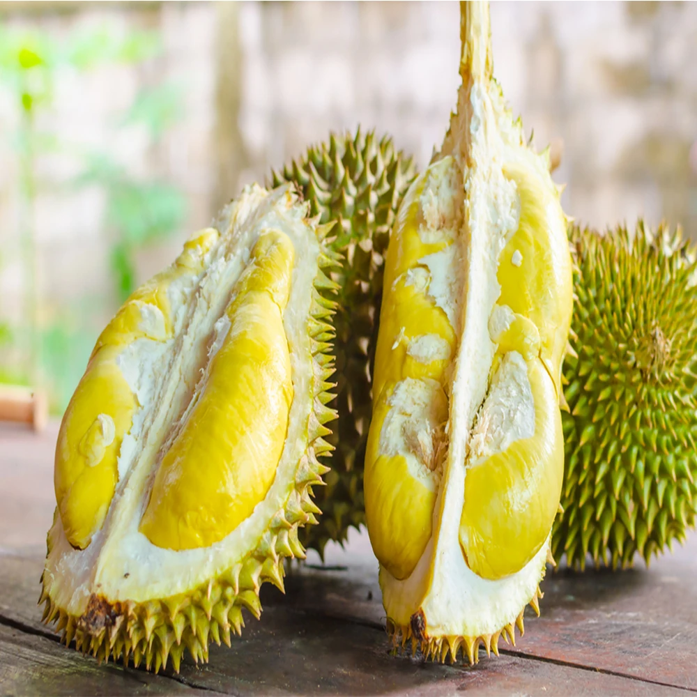新鲜优质黄色有机榴莲与甜味销售
