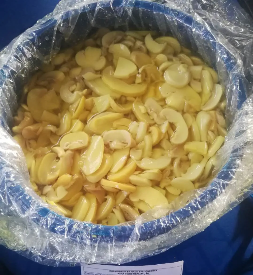 Premium Mushroom Sliced in Brine