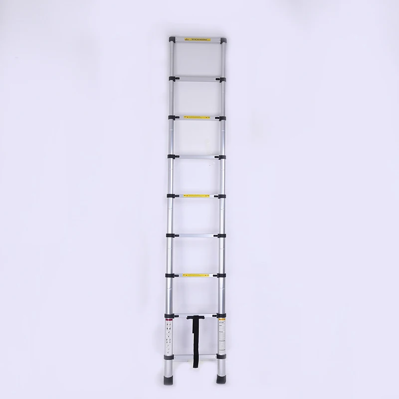 double telescopic ladder