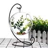 /product-detail/hand-blown-borosilicate-home-decorative-clear-glass-flower-vase-plant-terrarium-60724156284.html