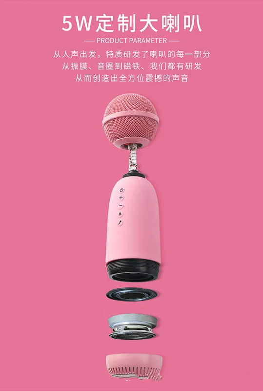 MC-001 Wireless BT Speaker Microphone Amazon New Product K Song Artifact 5W TYPE-C Condenser Microphone - ANKUX.COM