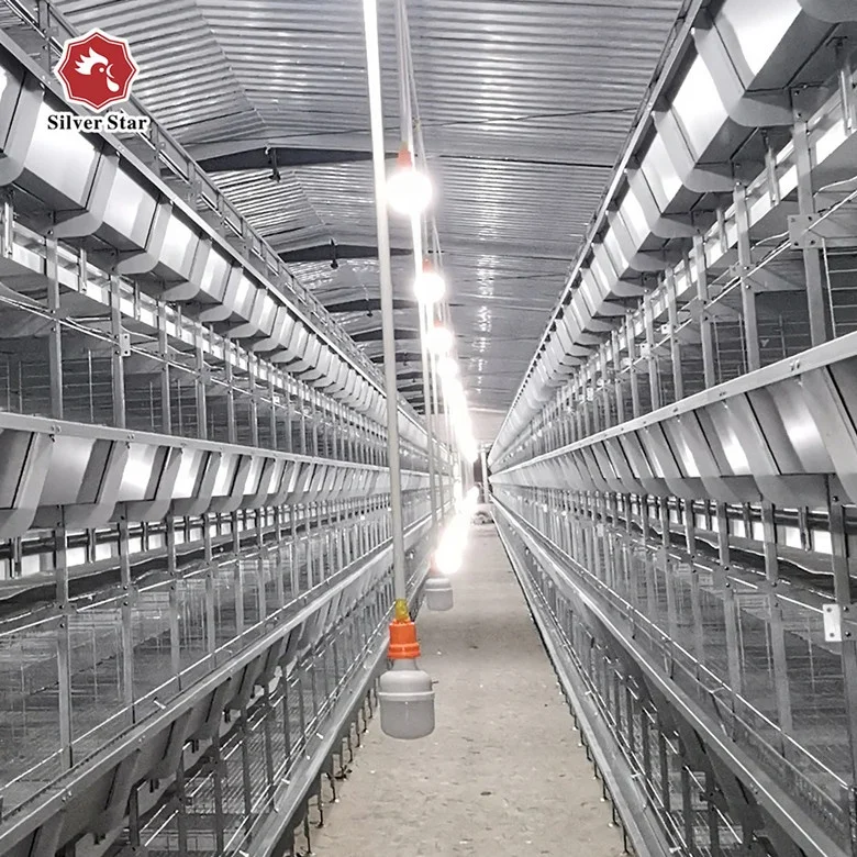 Poultry Broiler Farming Equipment Use Poultry Broiler Cages (Fully Automatic H Type Cages System).jpg